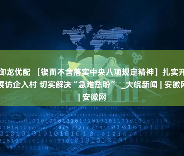 御龙优配 【锲而不舍落实中央八项规定精神】扎实开展访企入村 切实解决“急难愁盼”  _大皖新闻 | 安徽网
