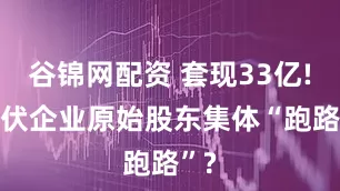 谷锦网配资 套现33亿! 光伏企业原始股东集体“跑路”?