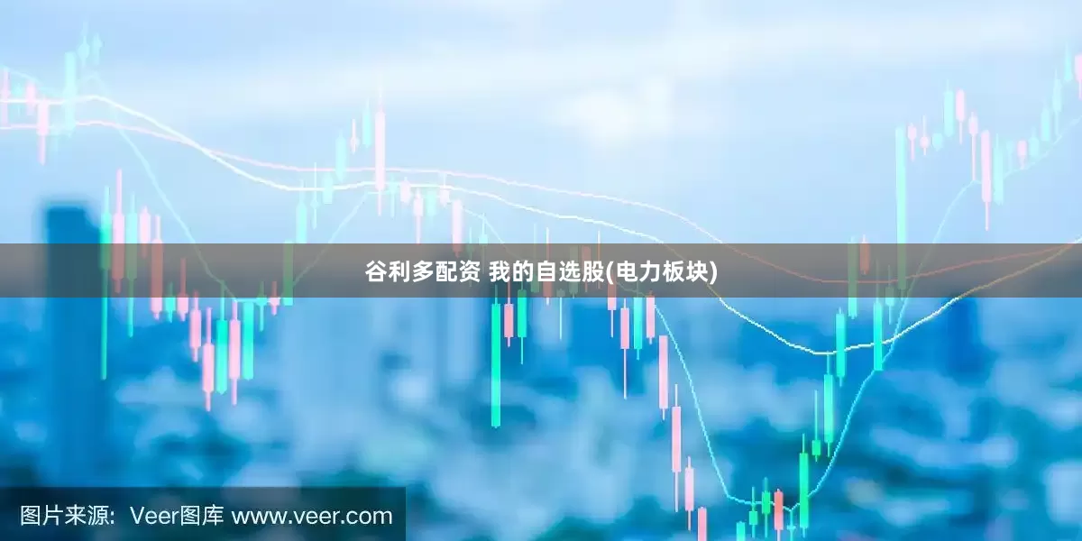 谷利多配资 我的自选股(电力板块)